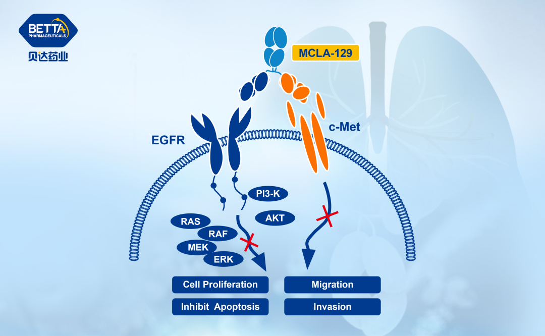 1726036013750422.png 微信圖片_20240911142537.png